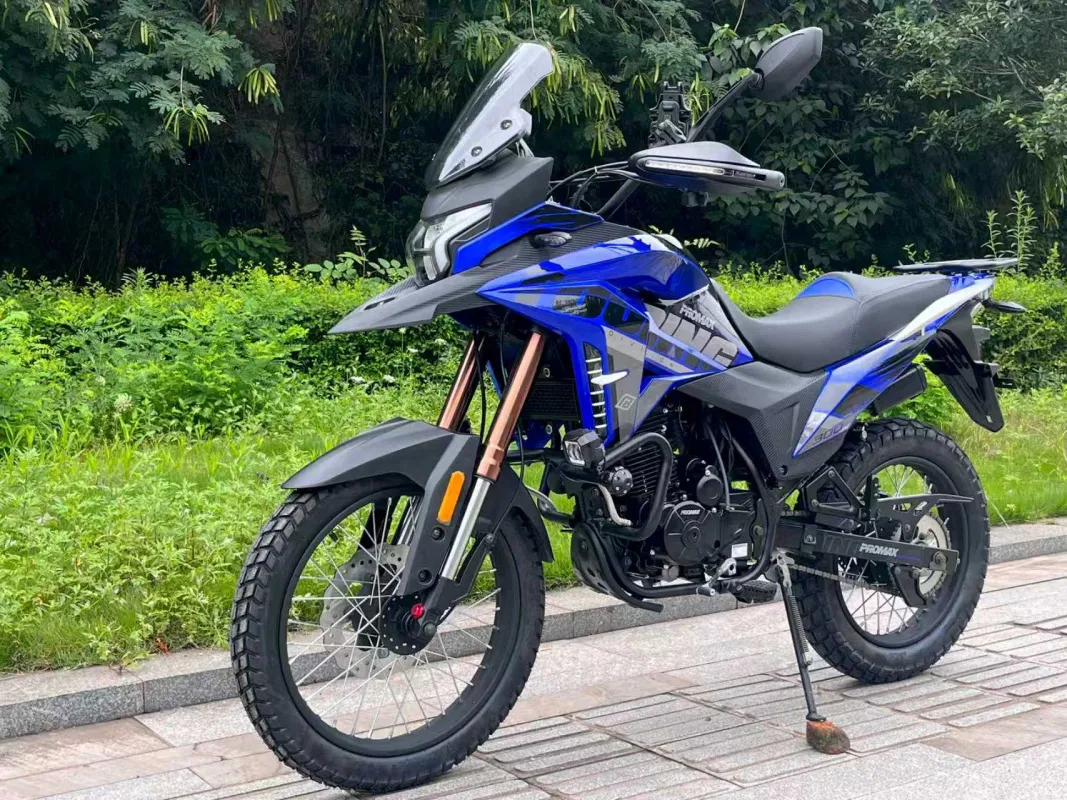 Мотоцикл PROMAX TOURING PR300 PRO (6 GEAR)